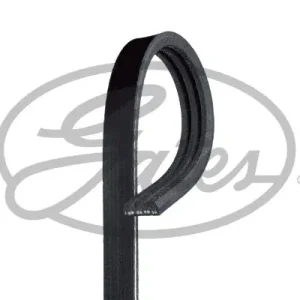 Autentyczny Pasek klinowy wielorowkowy GATES 3PK808